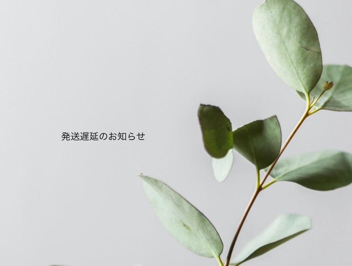 台風に伴う発送遅延のお知らせ