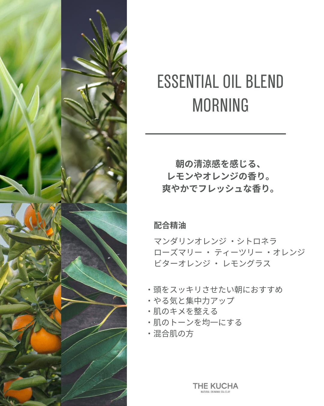 ESSENTIAL OIL BLEND 5ml / MORNING