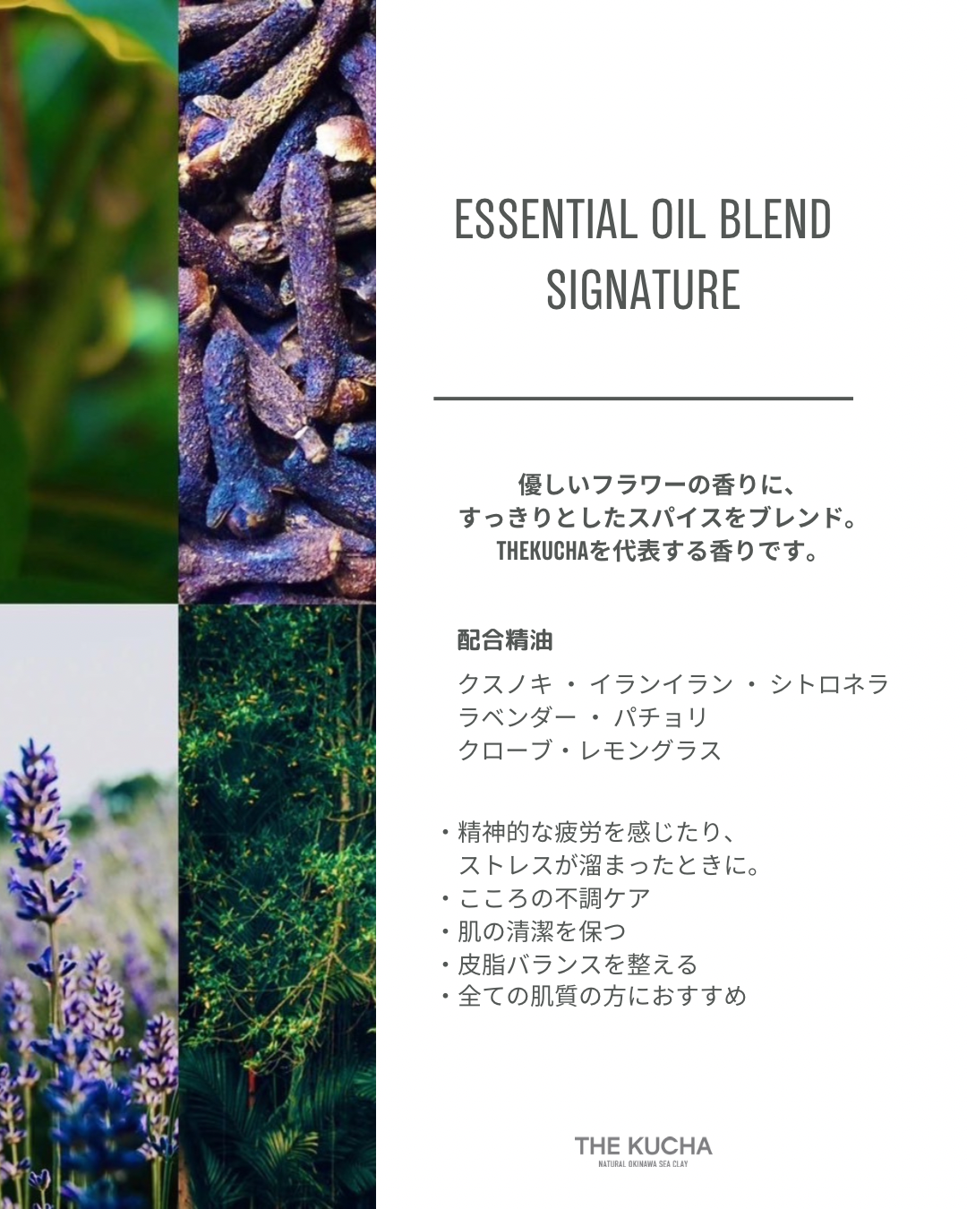 ESSENTIAL OIL BLEND 5ml / SIGNATURE