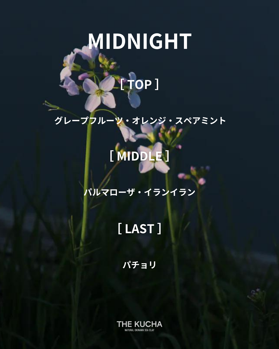 ESSENTIAL OIL BLEND 5ml / MIDNIGHT