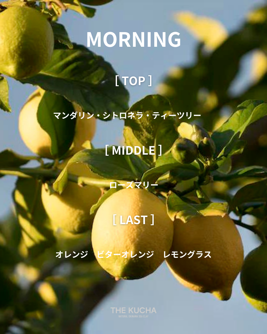ESSENTIAL OIL BLEND 5ml / MORNING