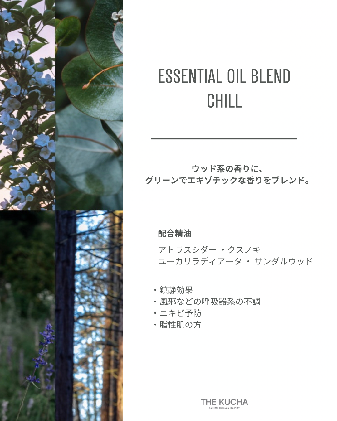 ESSENTIAL OIL BLEND 5ml / CHILL